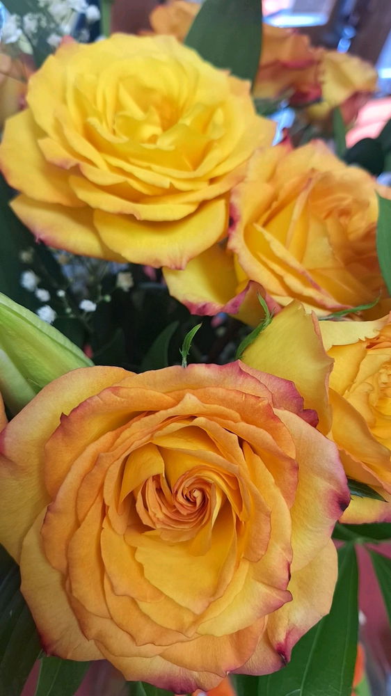 🌹