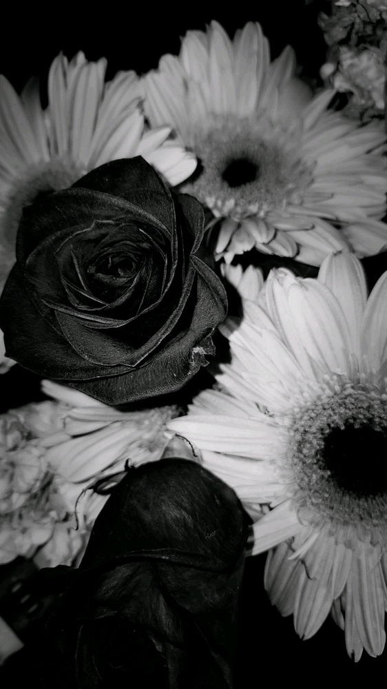 🌹