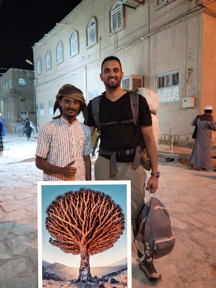 Socotravel