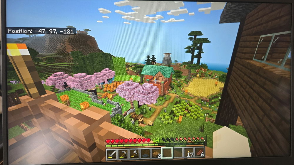 Minecrafter zoekt medespelers die de nether en the end willenverslaan met haar