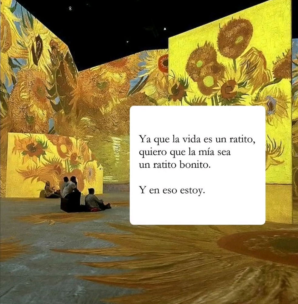 🌼☀️✨
