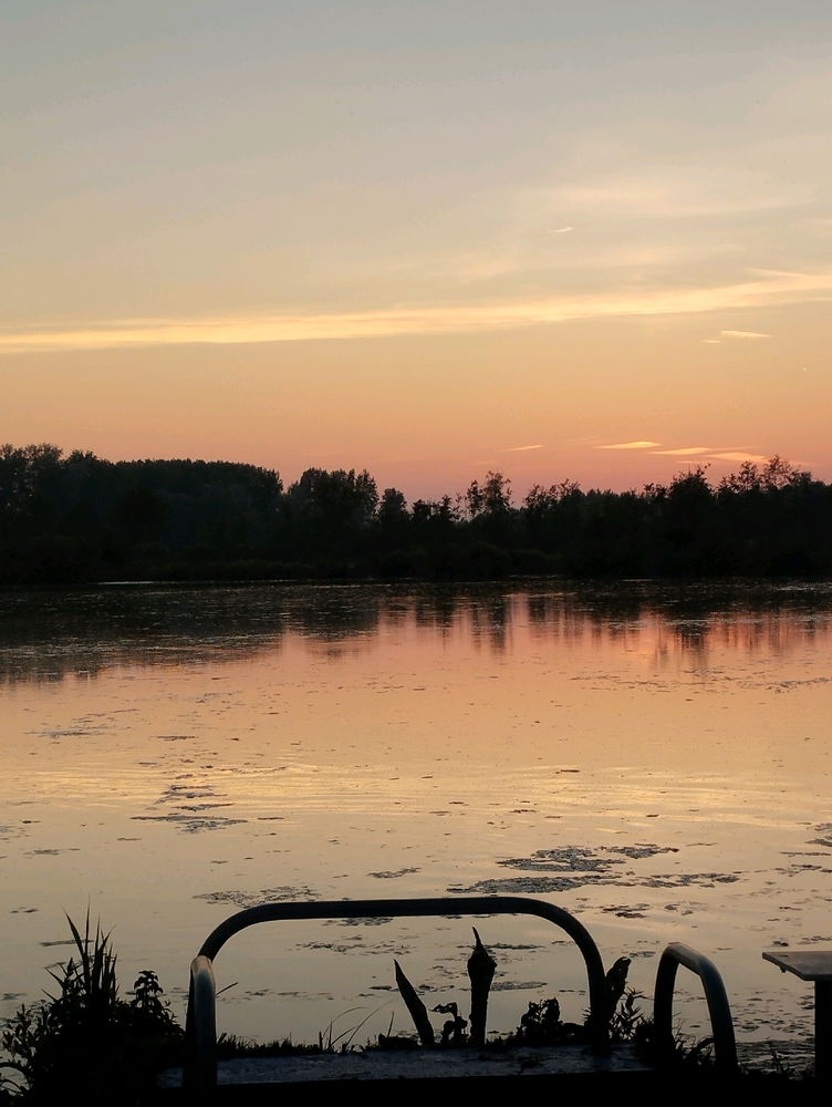 Lumière du soir sur les étangs 😊
