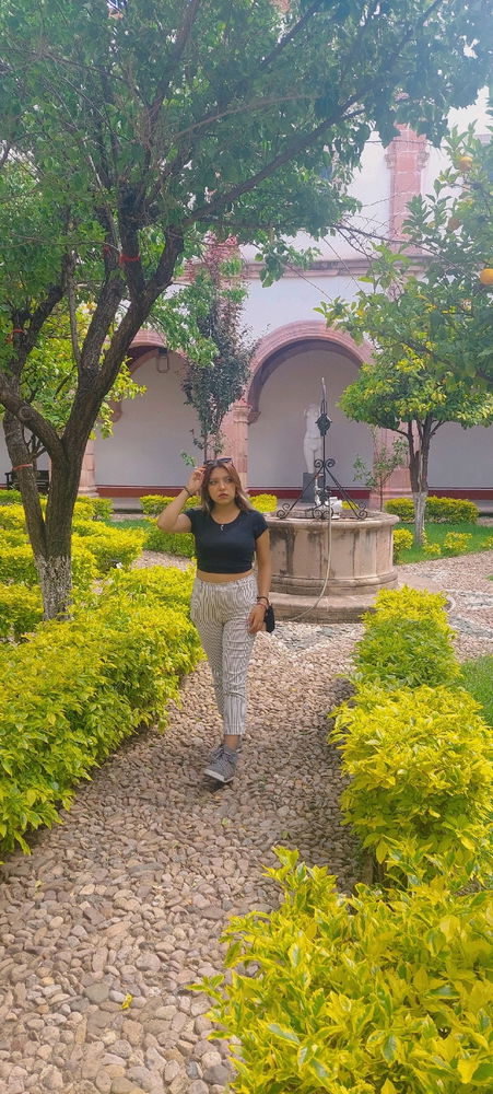 Museo Pedro Coronel