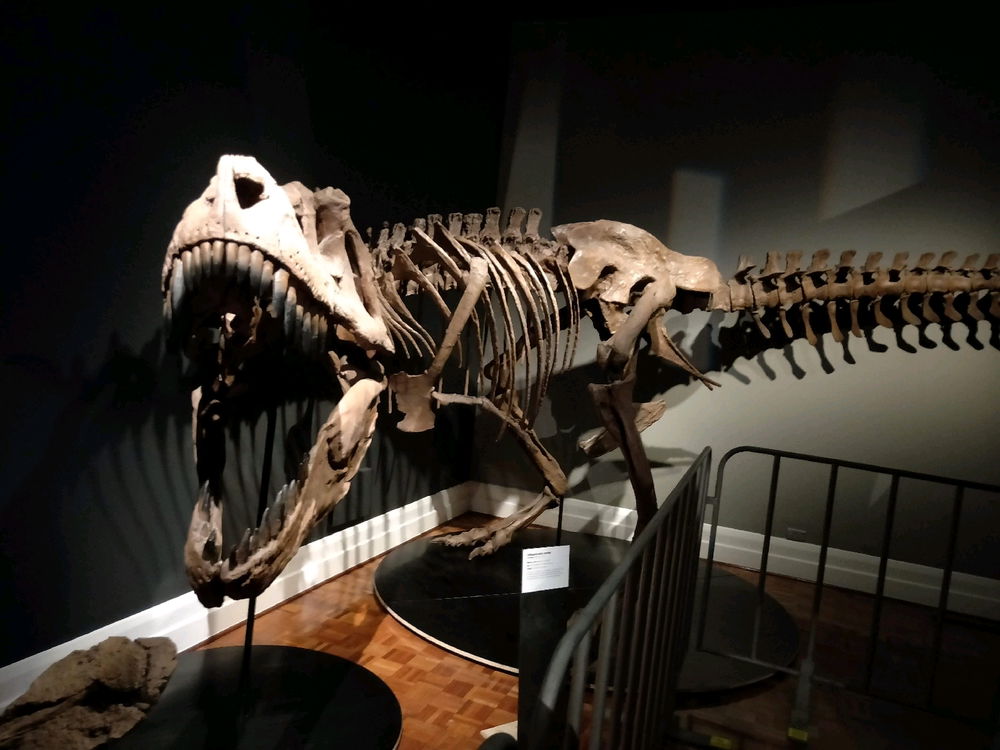 Hobart Museum. My favourite parts!