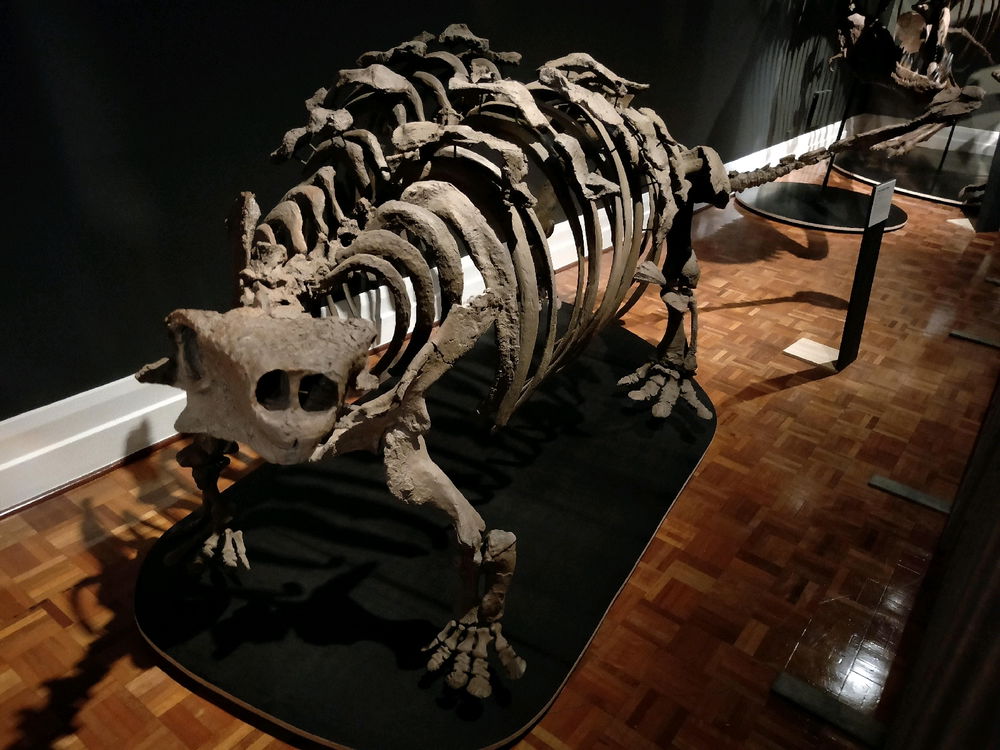 Hobart Museum. My favourite parts!