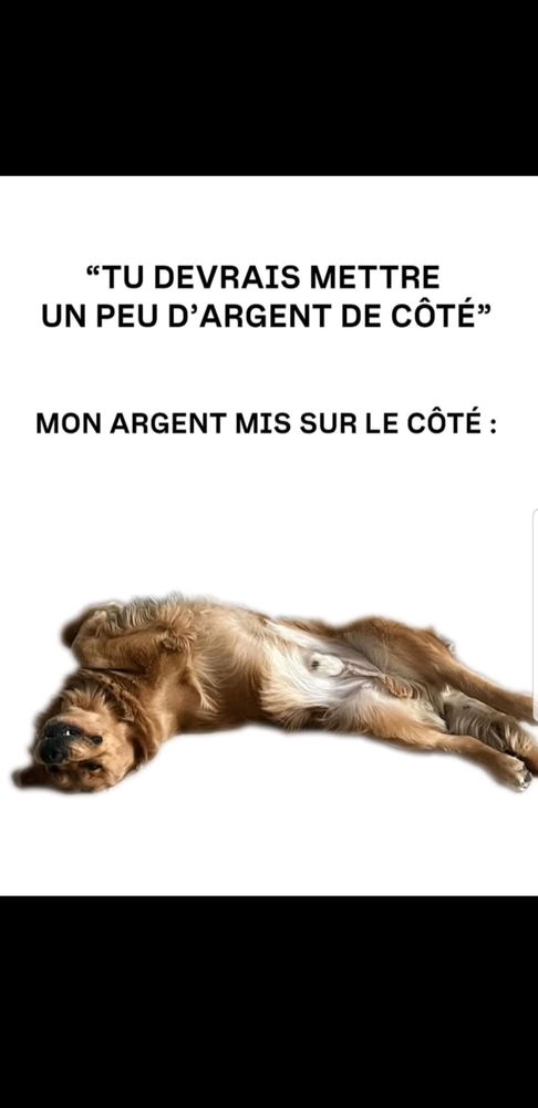 Ahh l'argent... Beaucoup disent que c'est important. Je suis d'accord avec ça j'en met ce côté chaque jours, chaque matin, chaque soir, chaque nuit. 
Cet argent m'obsède presque 

Voila mon argent de côté