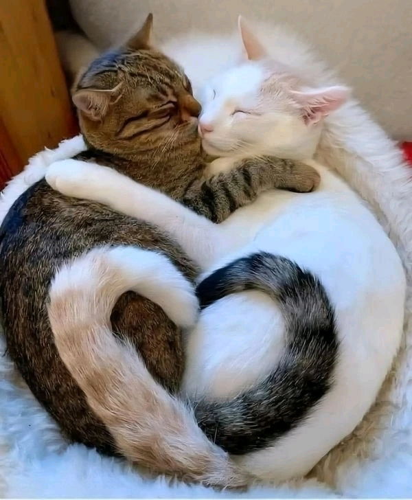 Что-то на прекрасном ❤️