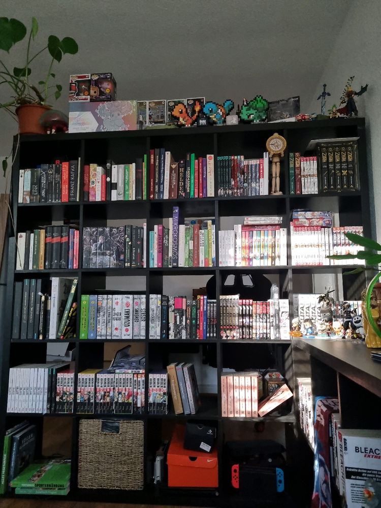 Meine kleine Bücher/Manga Ecke klein aber Fein😄