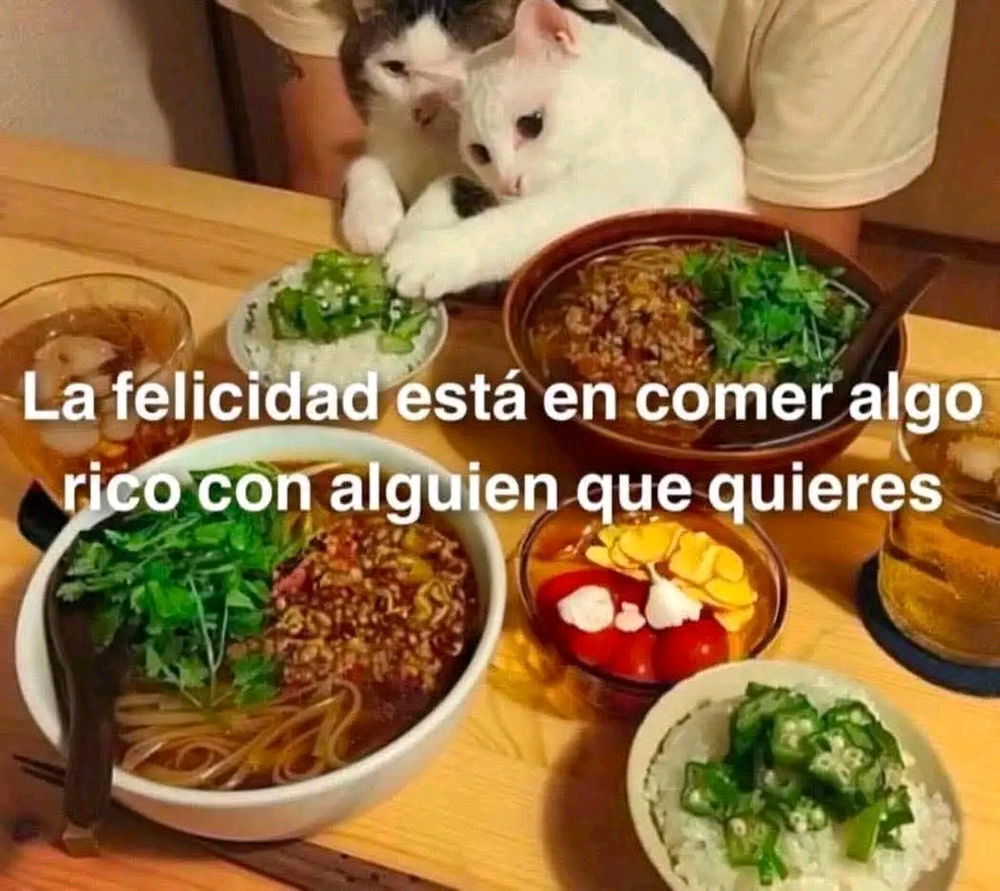 La mejor cita