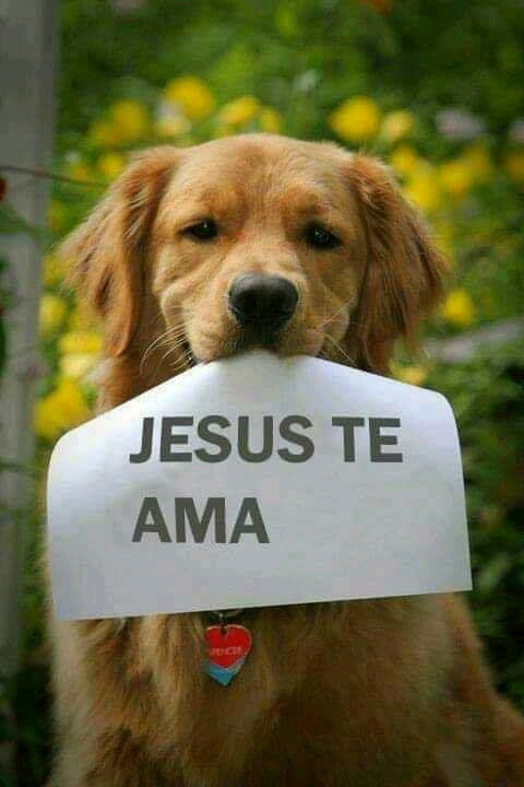 Dios los ama mucho c: