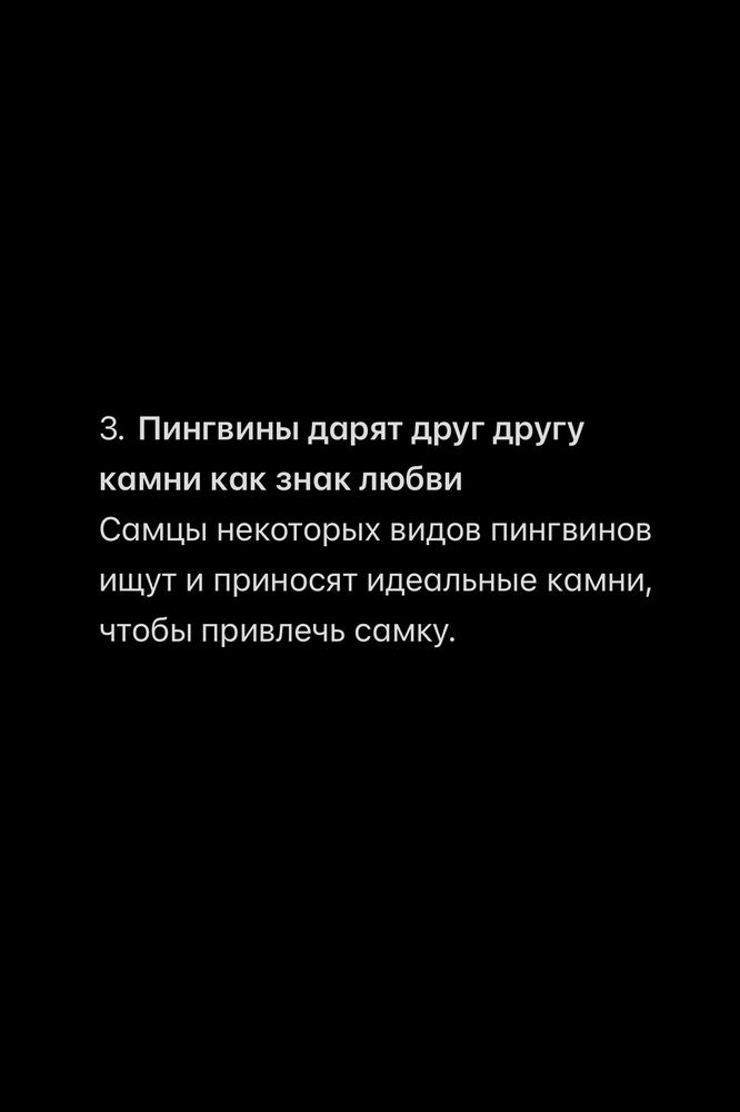 Рубрика: «Пять случайных и интересных фактов» 😁