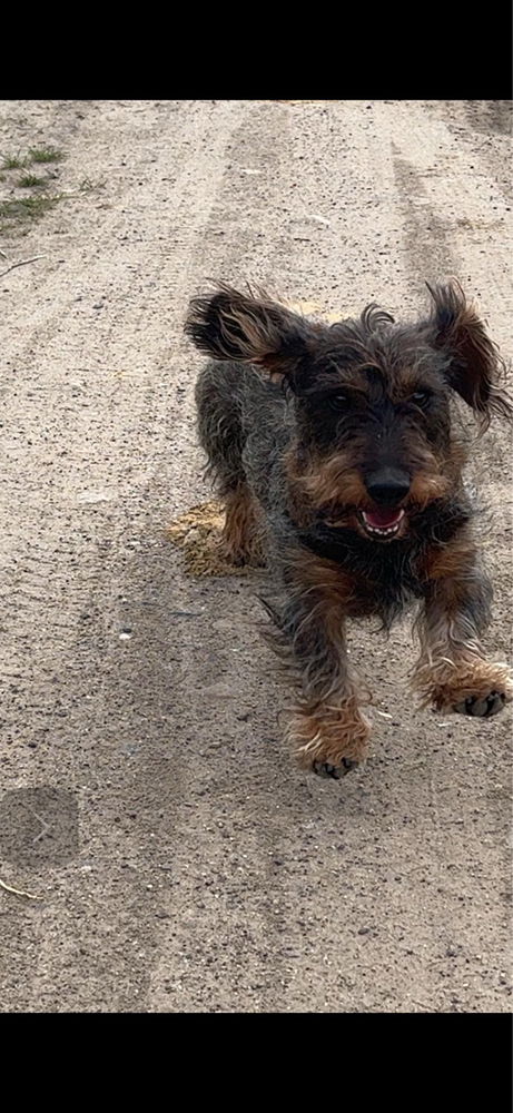 Tobi :)