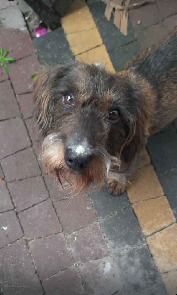 Tobi :)