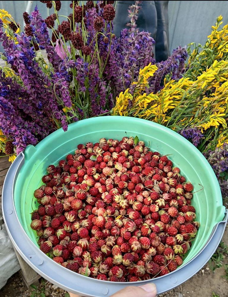 Прекрасный день ☺️