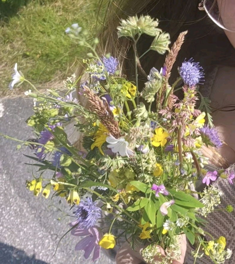 Go on a walk and pick some flowers <33