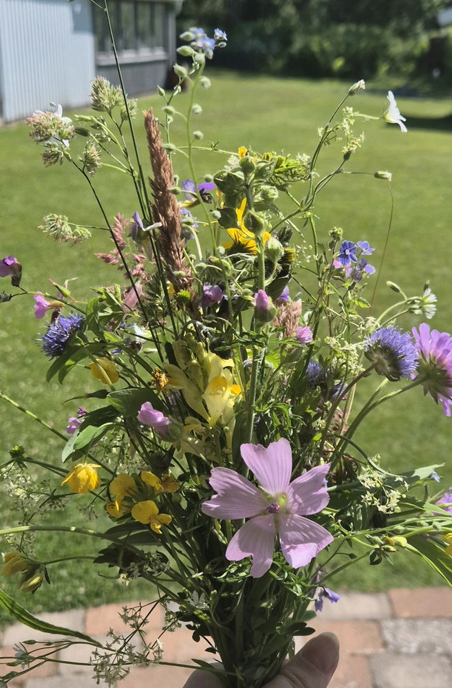 Go on a walk and pick some flowers <33