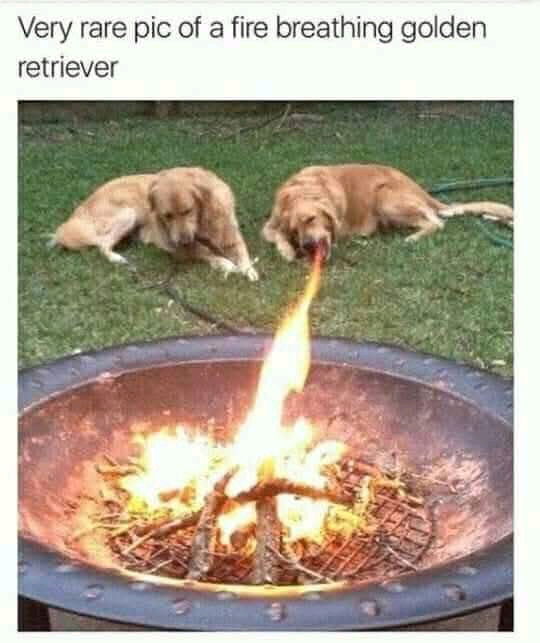 Also works on fireplaces