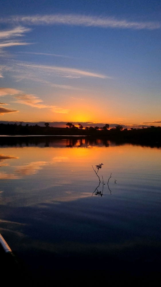 Pescando