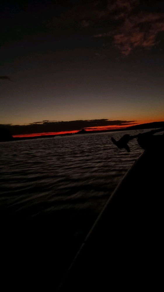 Pescando