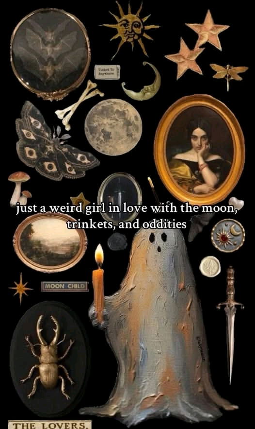 🦋🪲🦴🐤🌙🕷🕸