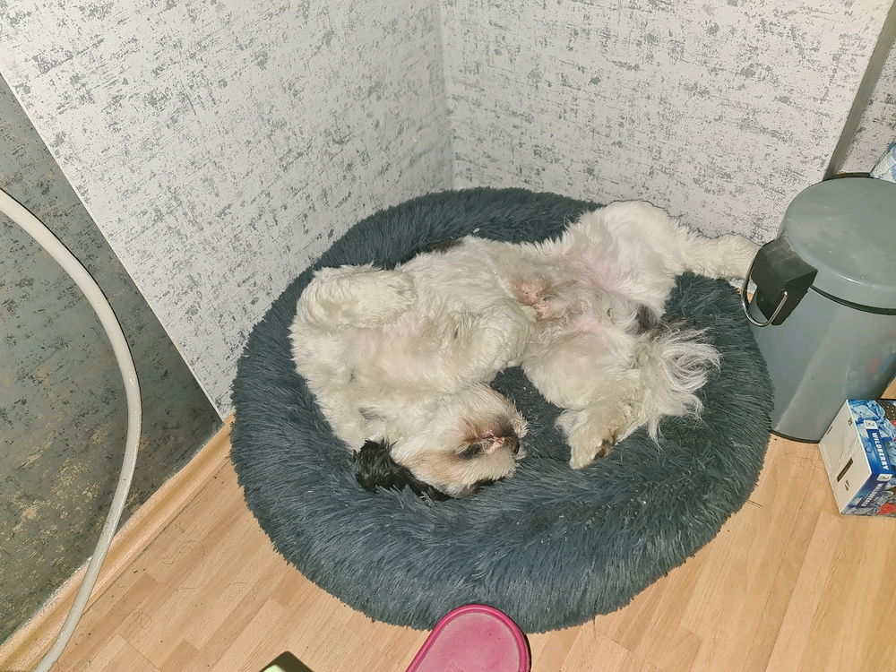 Und ich wundere mich wer da schnarcht