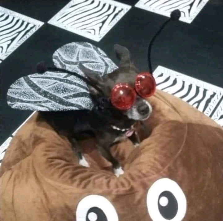❤️