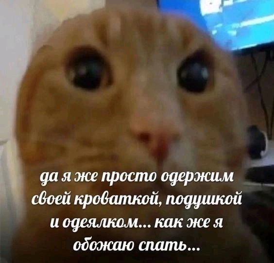 Good morning!