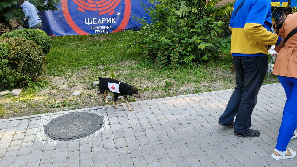 Ще трохи фото зі свята