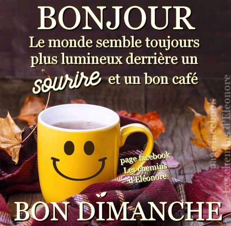 Bon Dimanche les Booboos✨