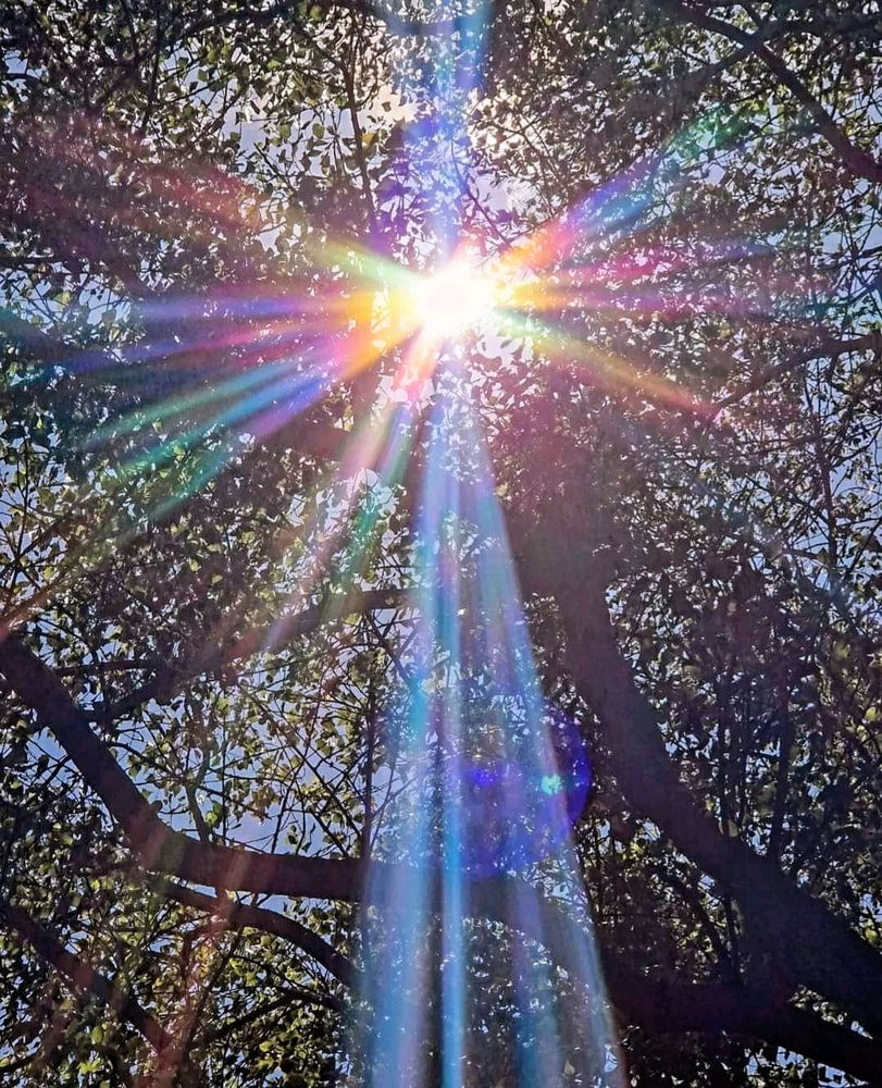 Bonne journée solstice ☀️👋