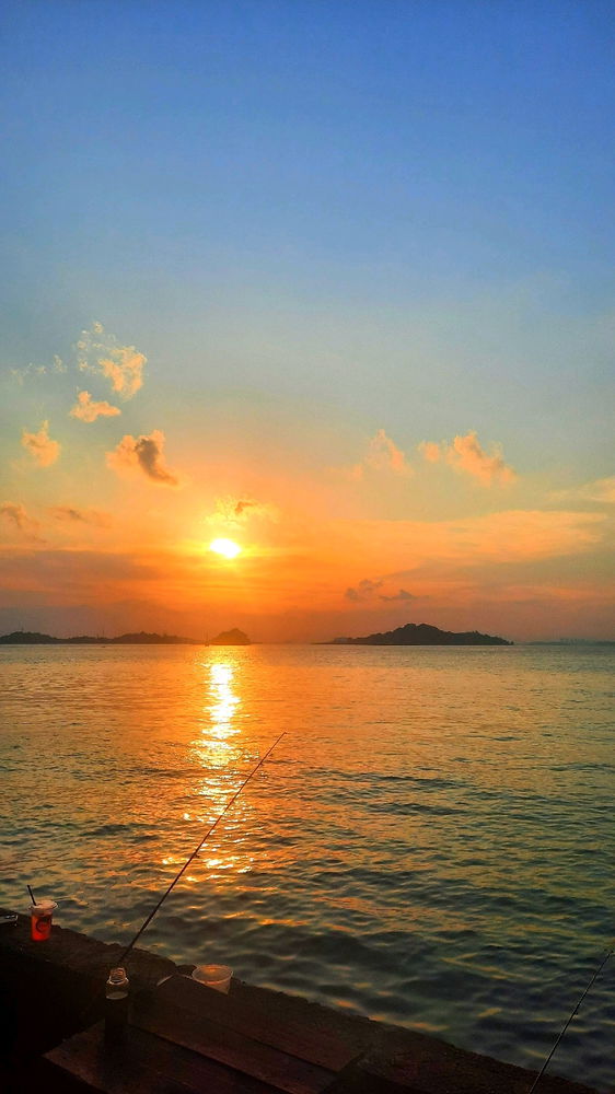 Vit-C(Sea)🌄