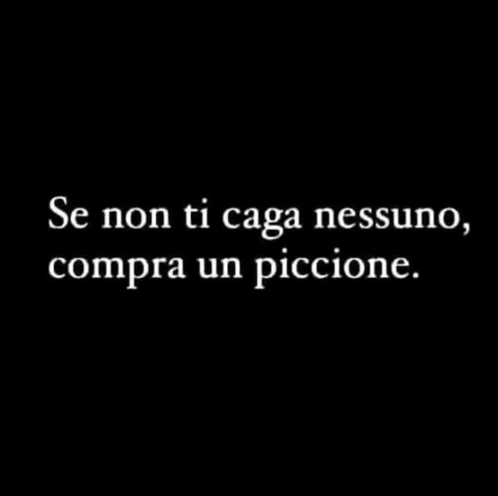 🕊️🕊️ (non c'erano i piccioni)