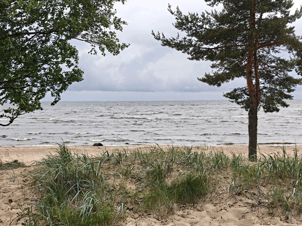 Комарово