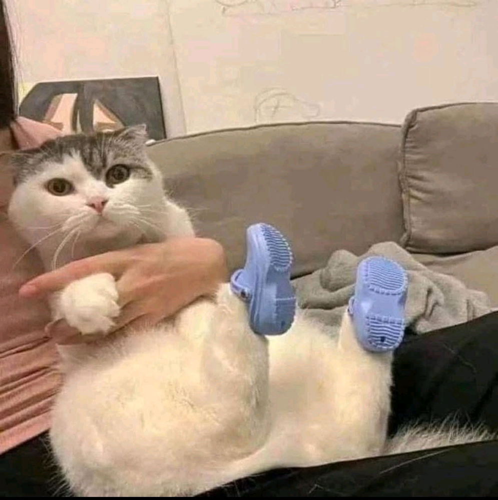 😂