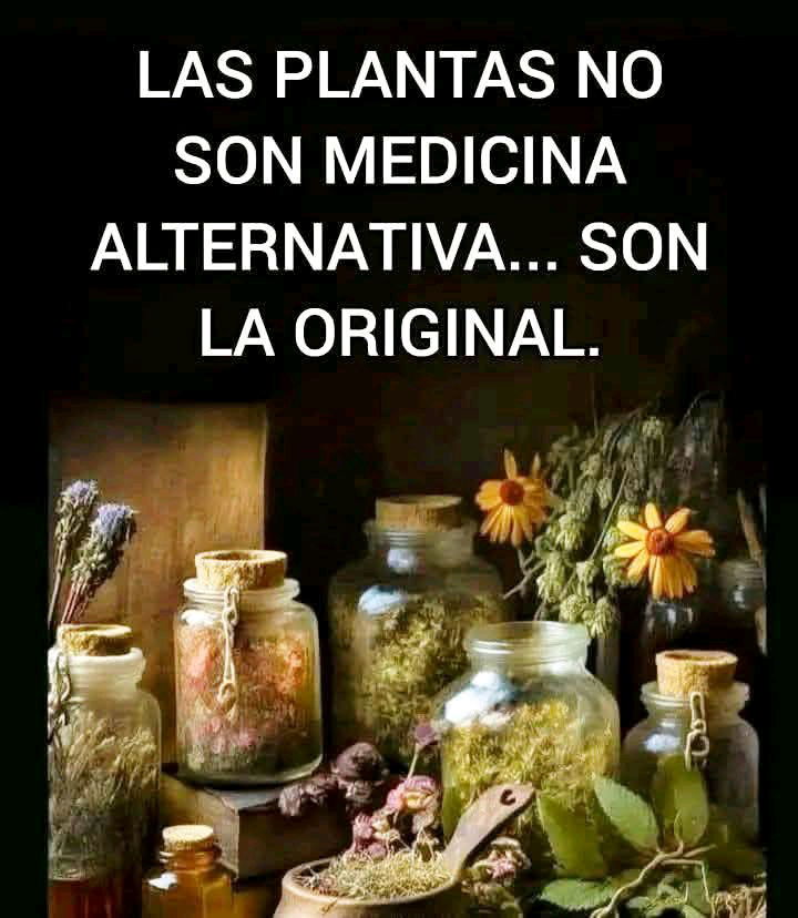 Aprendamos lo que desaprendimos