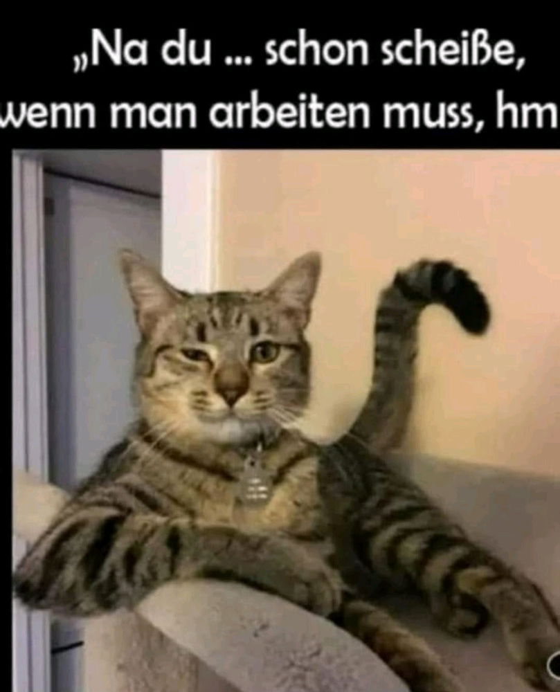 😂