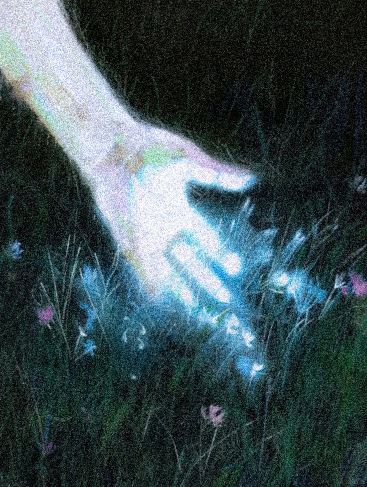 :THE BACKDOOR 🚪🦋: