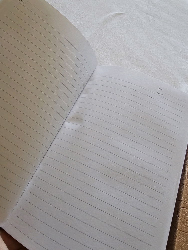 I found my journal and planners from when I lived at my dad's...