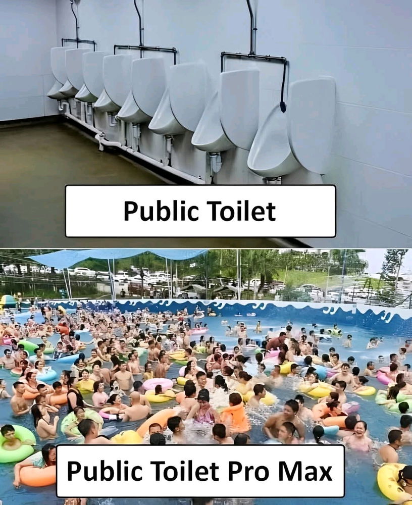 🚽🧻