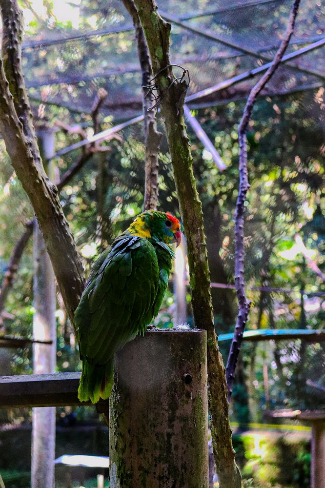Um dos meus hobbies favoritos é a fotografia