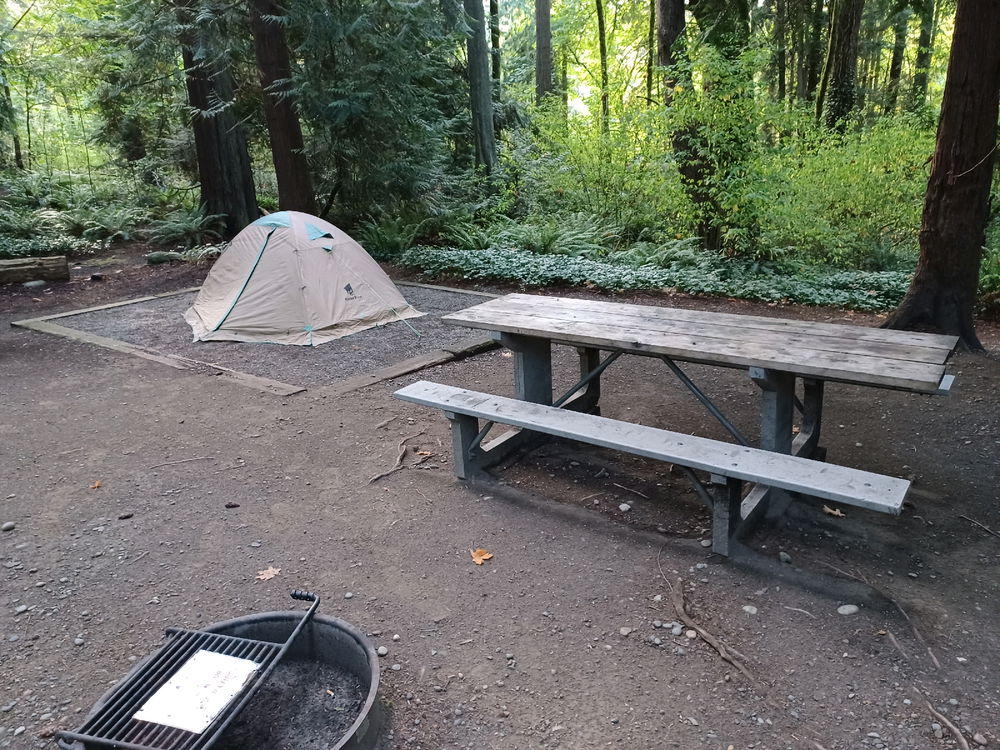 Forest Trail Hiking n Camping