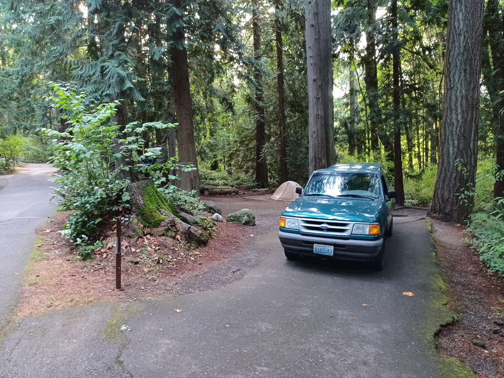 Forest Trail Hiking n Camping