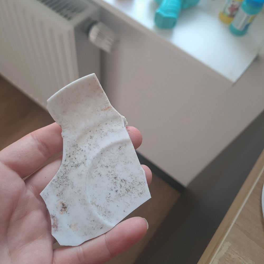 Wieder ein Geschenk gebracht. Die beiden scheinen weißes Porzellan sehr zu mögen 😆🐦‍⬛🐦‍⬛