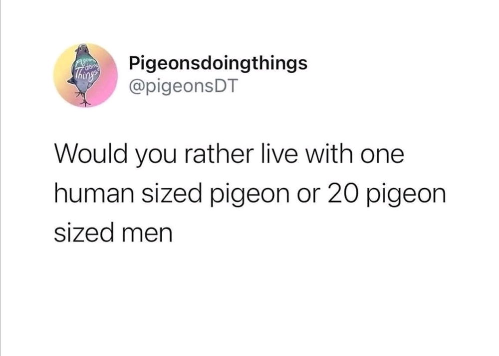 🐦🚶🏻‍♂️🤔