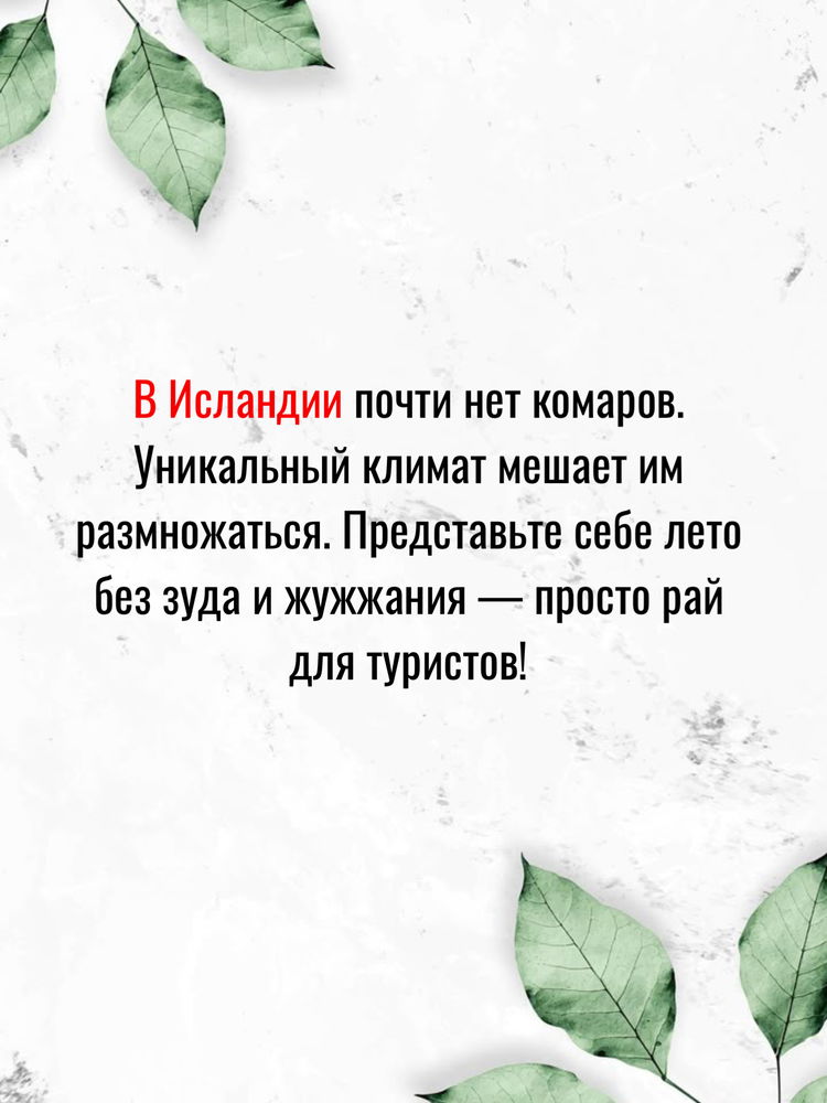 5 случайных фактов о нашем мире