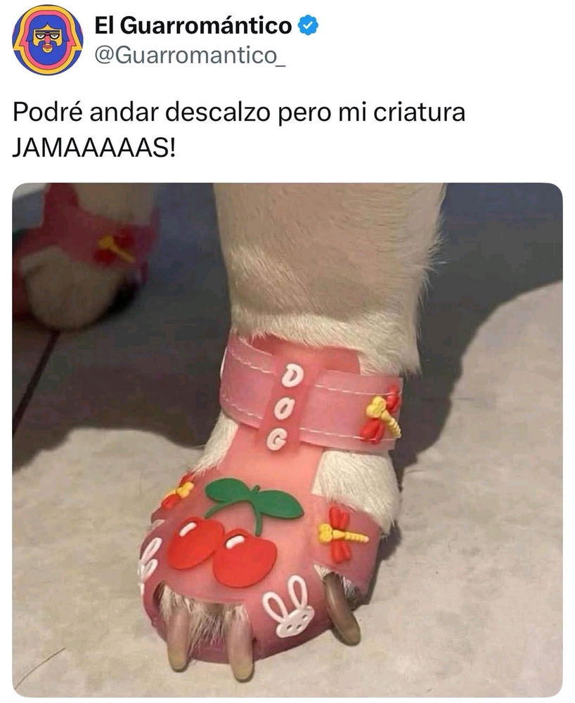 Jajja🤭