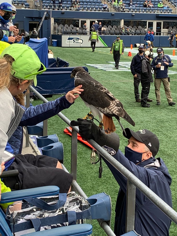 Seahawks