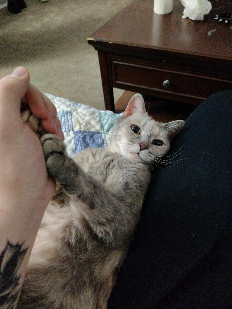 My cute Luna being adorable
