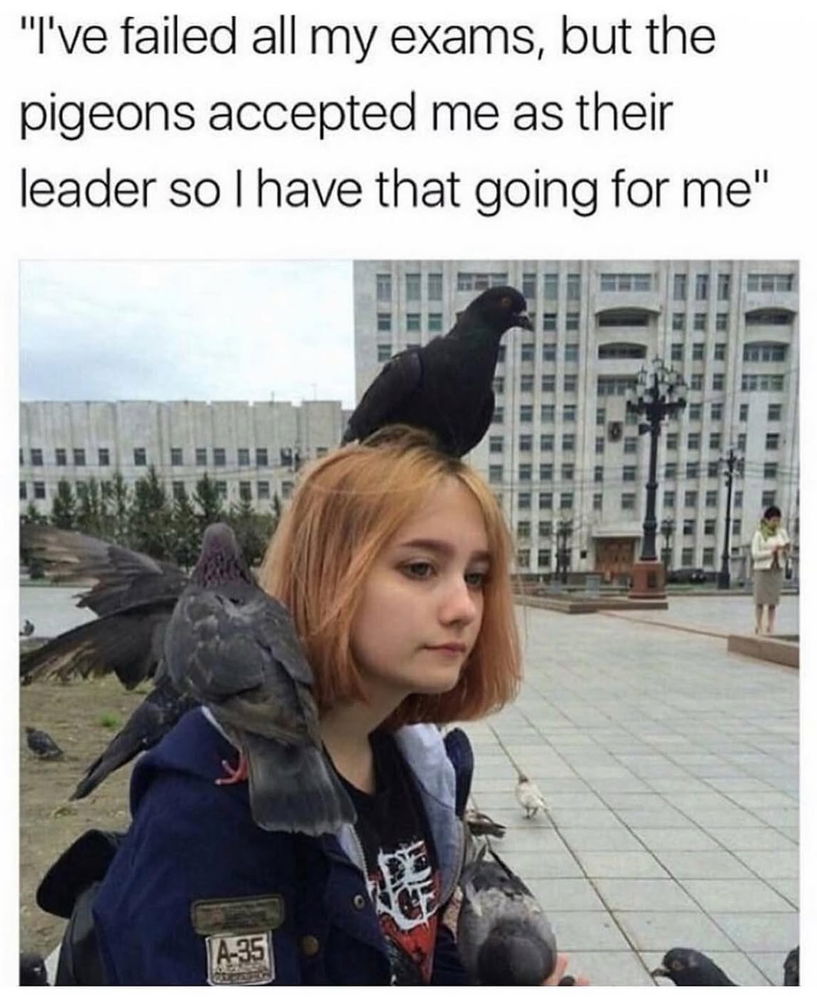 💫