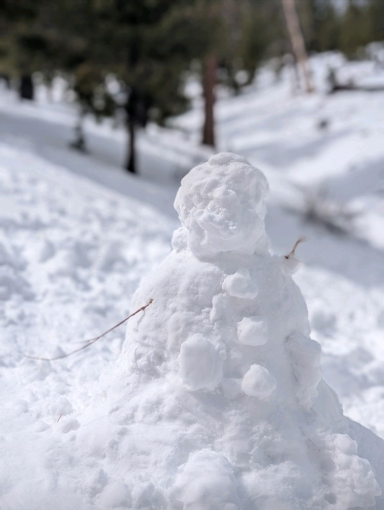 Snow day